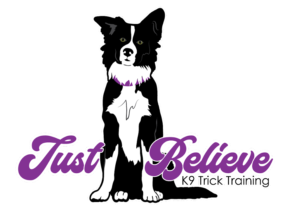 Just Believe K9 Trick Training | 3591 Cowichan Lake Rd, Duncan, BC V9L 6K5, Canada | Phone: (250) 857-7131