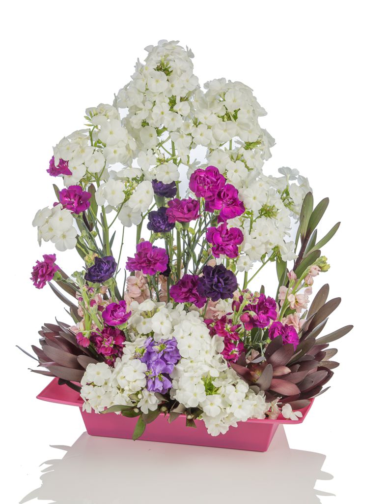 Blooms by Bloy Calgary Head Office | 145 Point Dr NW #1204, Calgary, AB T3B 4W1, Canada | Phone: (403) 819-1205