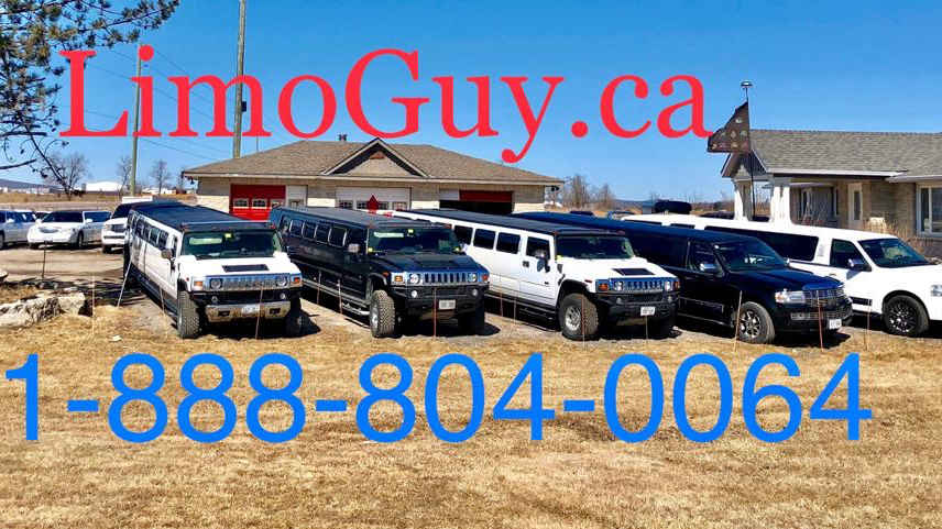 Limoguy | 13605 Hurontario St, Inglewood, ON L7C 2C9, Canada | Phone: (647) 716-5466