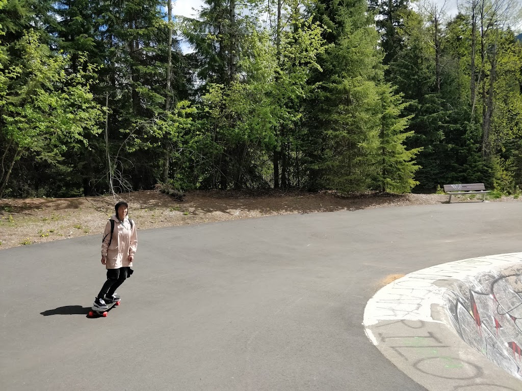 Whistler Skate Park | 4330 Blackcomb Way, Whistler, BC V0N 1B4, Canada | Phone: (604) 935-8189