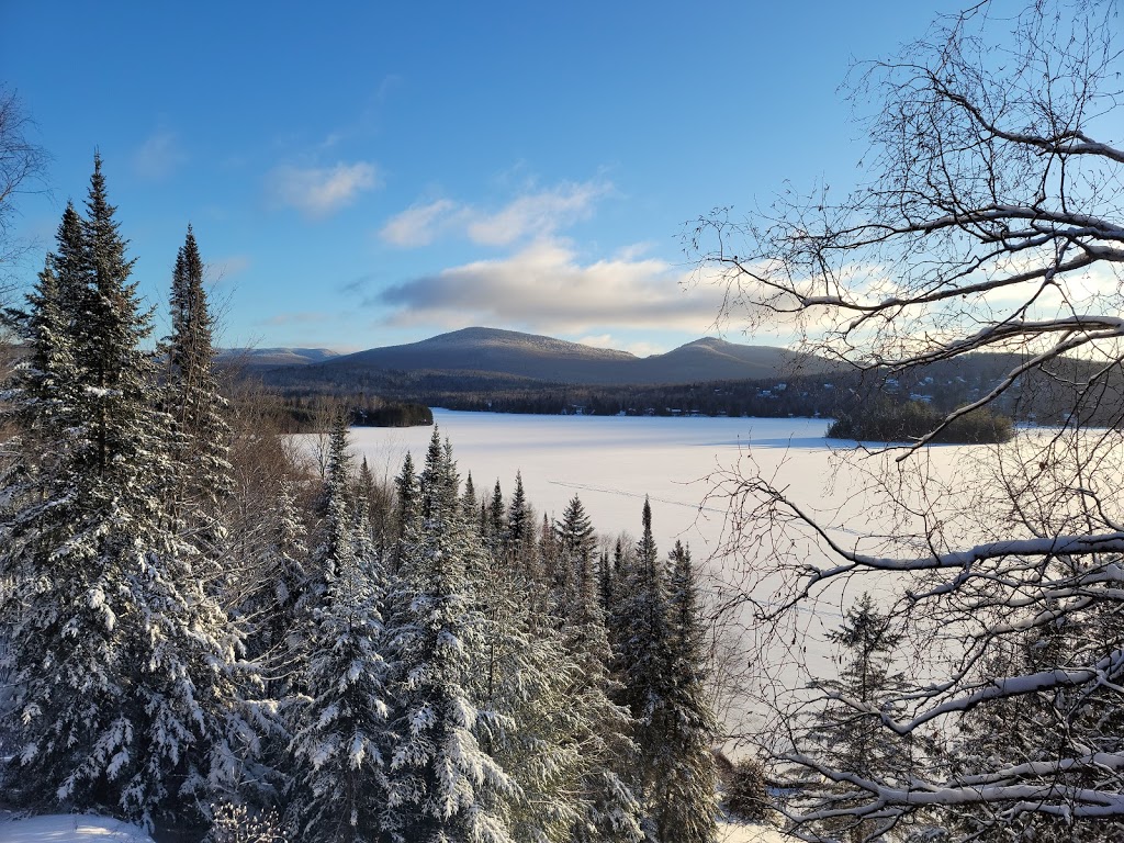 Chalet bois rond | 2710 Chemin du Lac Supérieur, Lac-Supérieur, QC J0T 1P0, Canada | Phone: (514) 510-8944