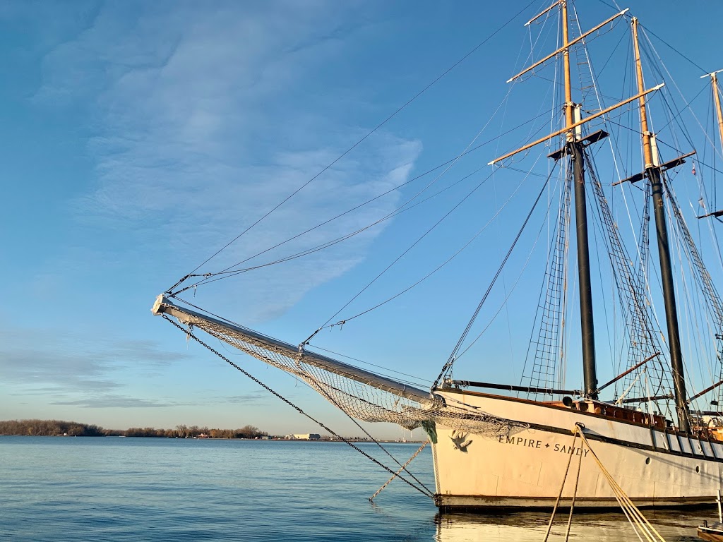 Tiki Taxi | Torontos Premier Water Taxi Service | 441 Queens Quay W, Toronto, ON M5V 3G3, Canada | Phone: (647) 347-8454