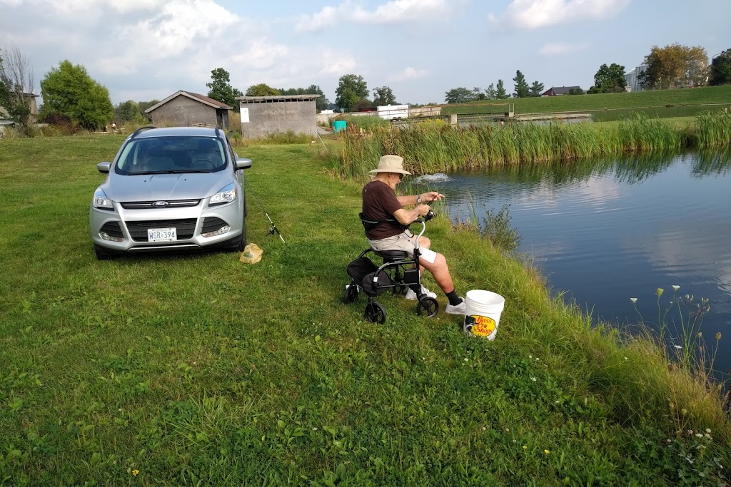 tangled line fish farm | 1945 Glover Rd, Niagara Falls, ON L2E 6S5, Canada | Phone: (905) 680-9585