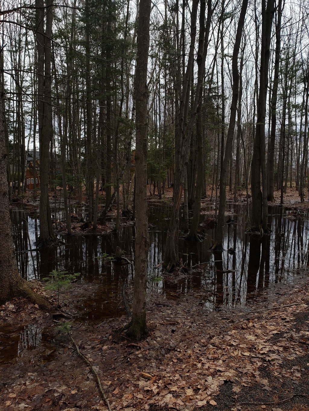 Parc des Goélands | Rue des Sittelles, Victoriaville, QC G6T 1K9, Canada