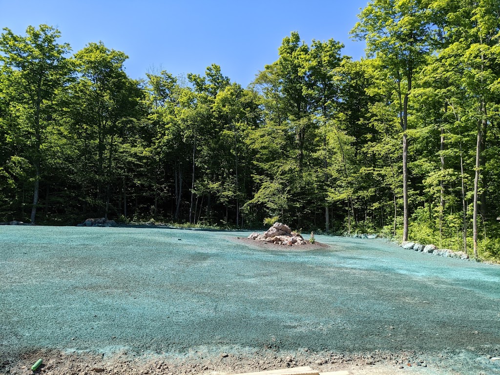 King Hydroseeding | 97 Healey Rd, Bolton, ON L7E 5A9, Canada | Phone: (905) 951-1101