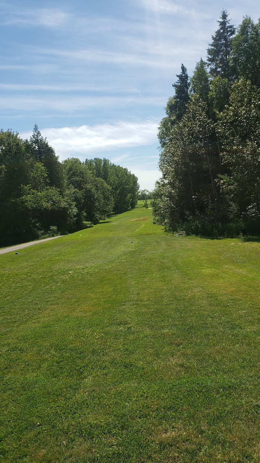 Springwater Golf Course | 1481 Golf Course Rd, Minesing, ON L0L 1Y2, Canada | Phone: (705) 728-1866