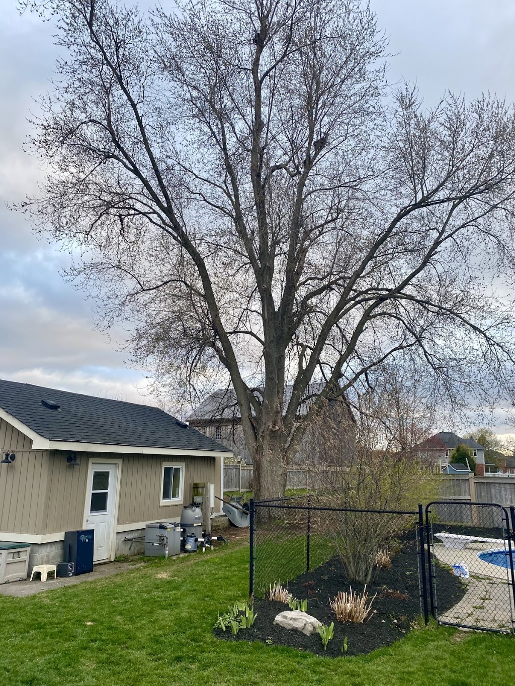 Westwood Tree Care | 1026 Britannia Rd, Burlington, ON L7P 0G1, Canada | Phone: (905) 818-1505
