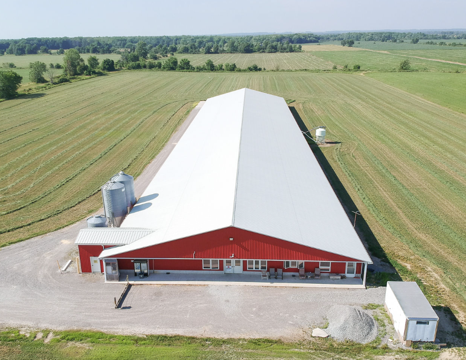 Myzel Organics | 41174 Forks Rd, Wainfleet, ON L0S 1V0, Canada | Phone: (877) 386-0632