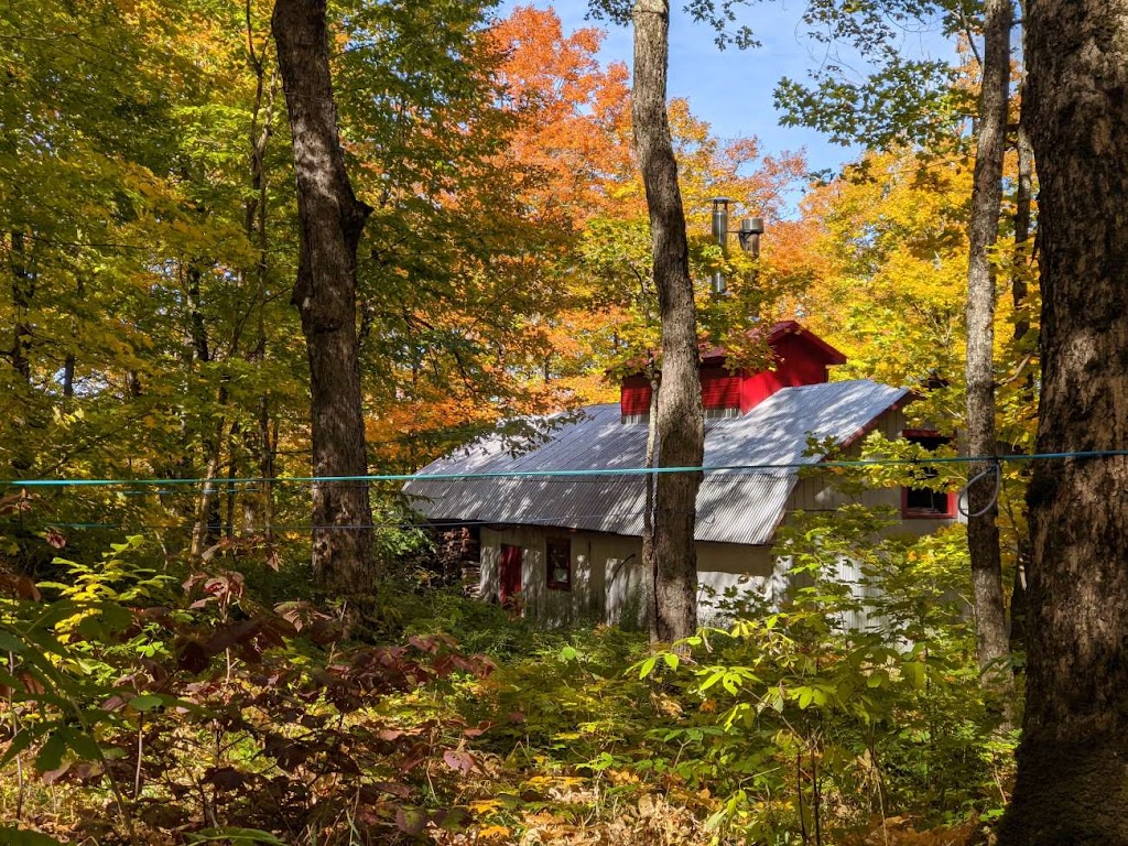 Érablière du Vallon inc. | 433 8e Rang, Saint-Nérée, QC G0R 3V0, Canada | Phone: (418) 243-3486