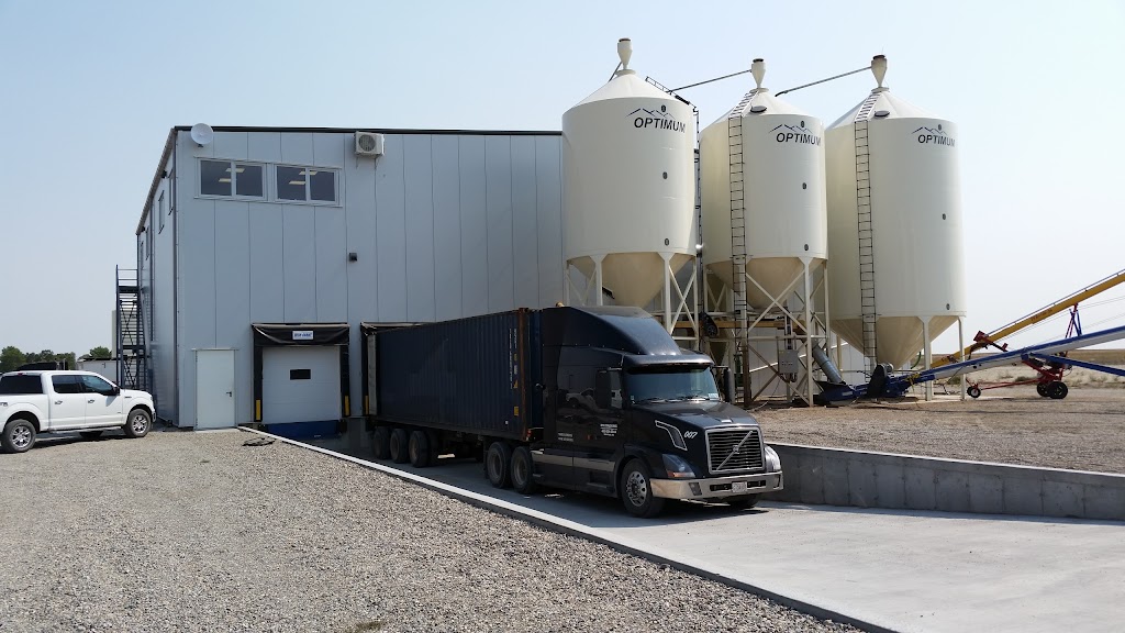 Arjazon Seed Trading Ltd. | 91079, Range Rd 253, Macleod, AB T0L 0Z0, Canada | Phone: (403) 553-4776