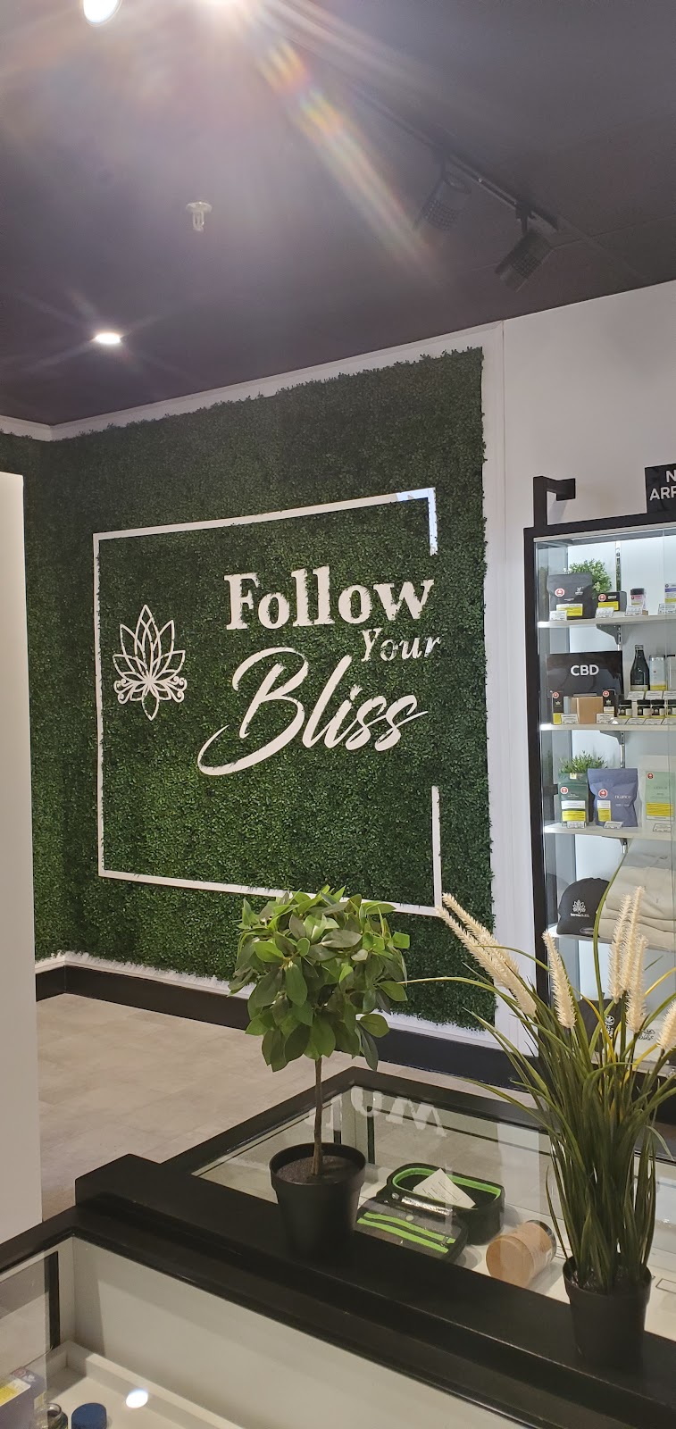 Sativa Bliss Cannabis Etobicoke | 2291 Kipling Ave Unit 102, Etobicoke, ON M9W 4L6, Canada | Phone: (416) 740-6111