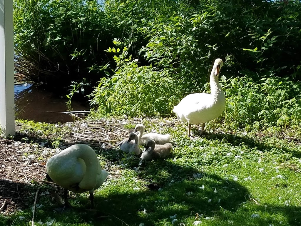 Forest Bed & Breakfast | 2926 Forest Rd, Stratford, ON N5A 6S5, Canada | Phone: (519) 271-4573