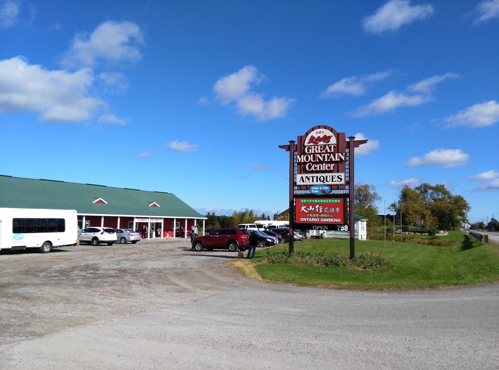 Great Mountain Ginseng Visitor Centre | 758 Niagara Stone Rd, Niagara-on-the-Lake, ON L0S 1J0, Canada | Phone: (905) 685-7328