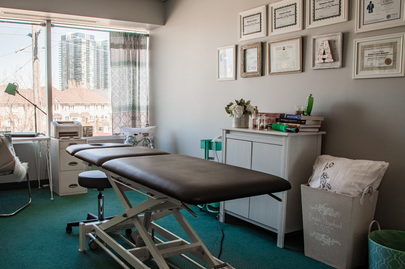 Aleksandra Nenadic Physiotherapy | 2275 Lake Shore Blvd W Suite 317, Etobicoke, ON M8V 3Y3, Canada | Phone: (647) 335-3450