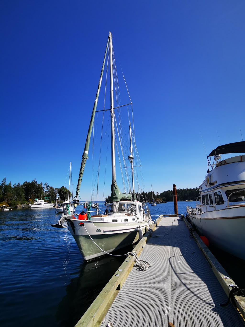 Canoe Cove Marina & Boatyard | 2300 Canoe Cove Rd, North Saanich, BC V8L 3X9, Canada | Phone: (250) 656-5566