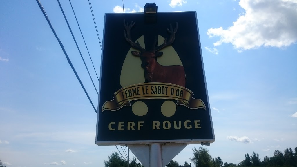 Ferme Le Sabot Dor | 976 QC-253, Cookshire-Eaton, QC J0B 1M0, Canada | Phone: (819) 832-4387