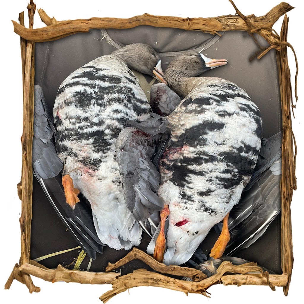 Hill’s waterfowl | Range Rd 255, Strathmore, AB T1P 0K3, Canada | Phone: (587) 727-5649