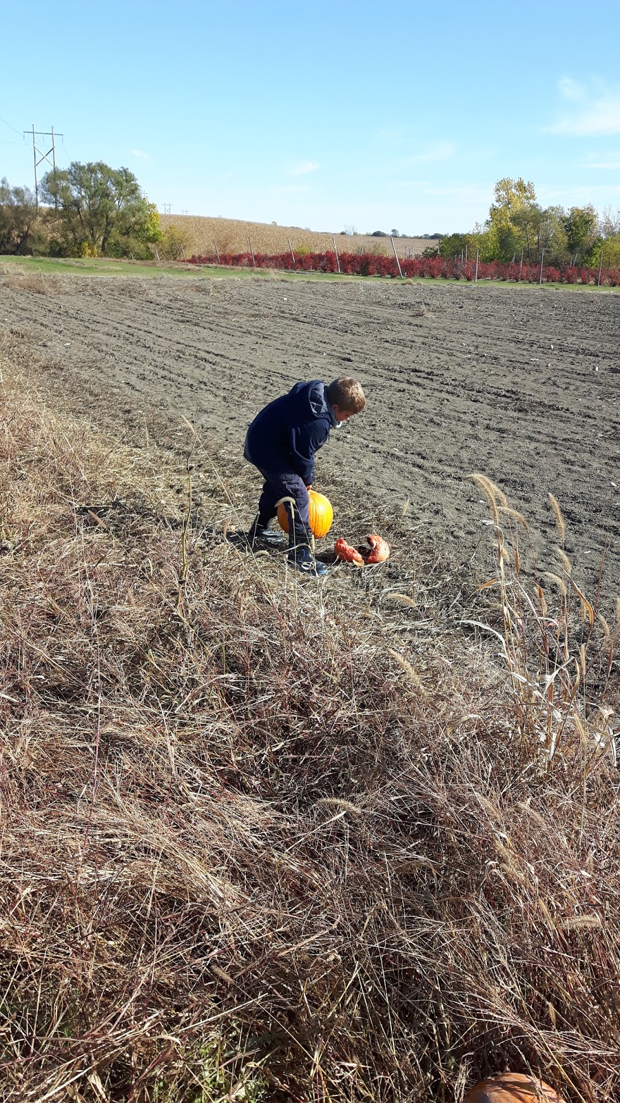 Les Jardins de Jacques | 2110 Chemin des Patriotes, Richelieu, QC J3L 6M3, Canada | Phone: (450) 658-5370