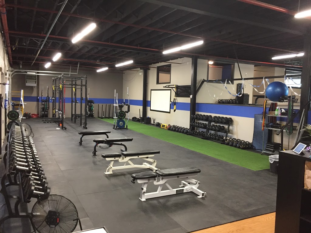 Lean Strong Fitness | 101 Beverley St, Guelph, ON N1E 3C3, Canada | Phone: (226) 706-9996