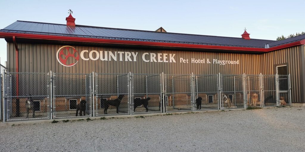Country Creek Pet Hotel and Playground | 246 Sideroad 10 S, Walkerton, ON N0G 2V0, Canada | Phone: (519) 364-9996
