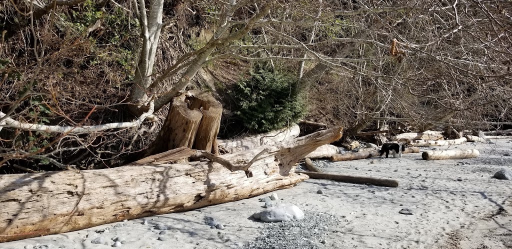 Smelt Bay Provincial Park | Mansons Landing, BC V0P 1K0, Canada | Phone: (250) 308-4479