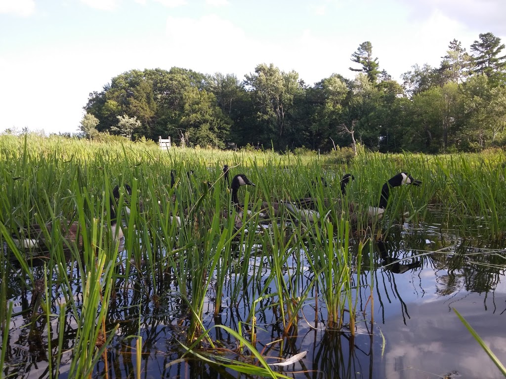 Réserve naturelle Quilliams-Durrull | Lac-Brome, QC J0E 1R0, Canada