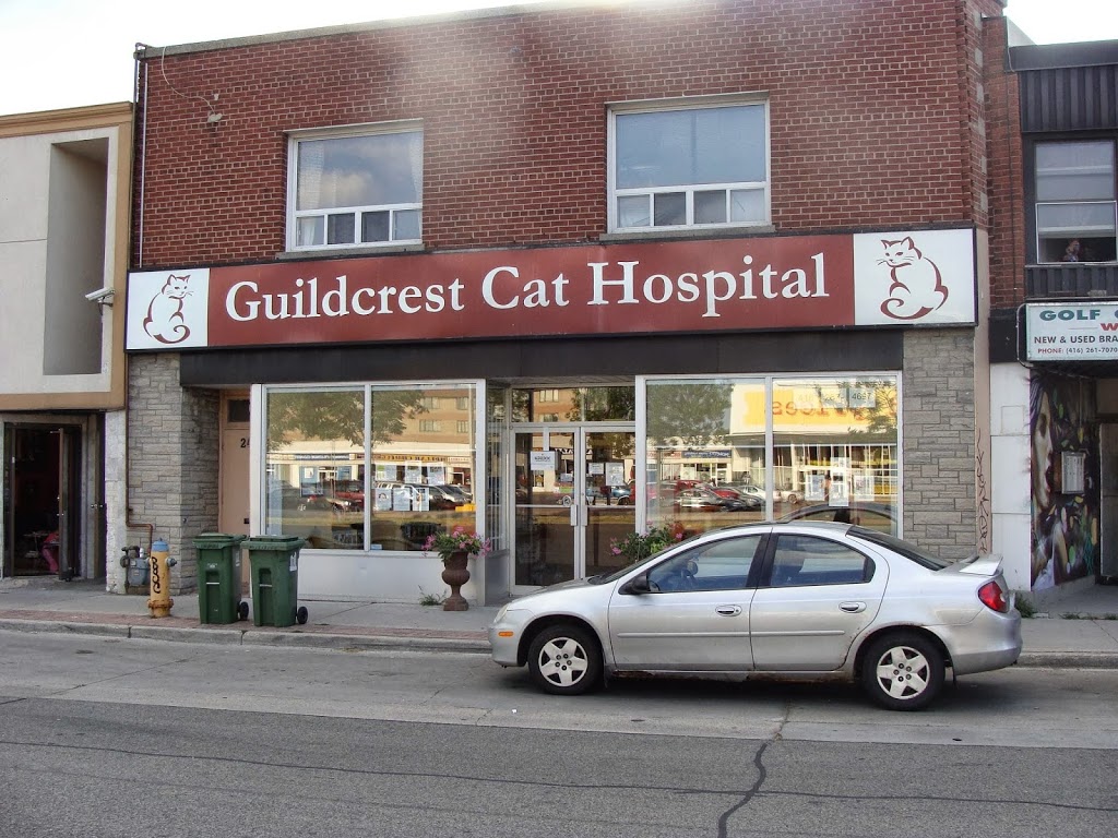 Guildcrest Cat Hospital | 2452 Kingston Rd, Scarborough, ON M1N 1V3, Canada | Phone: (416) 267-4697