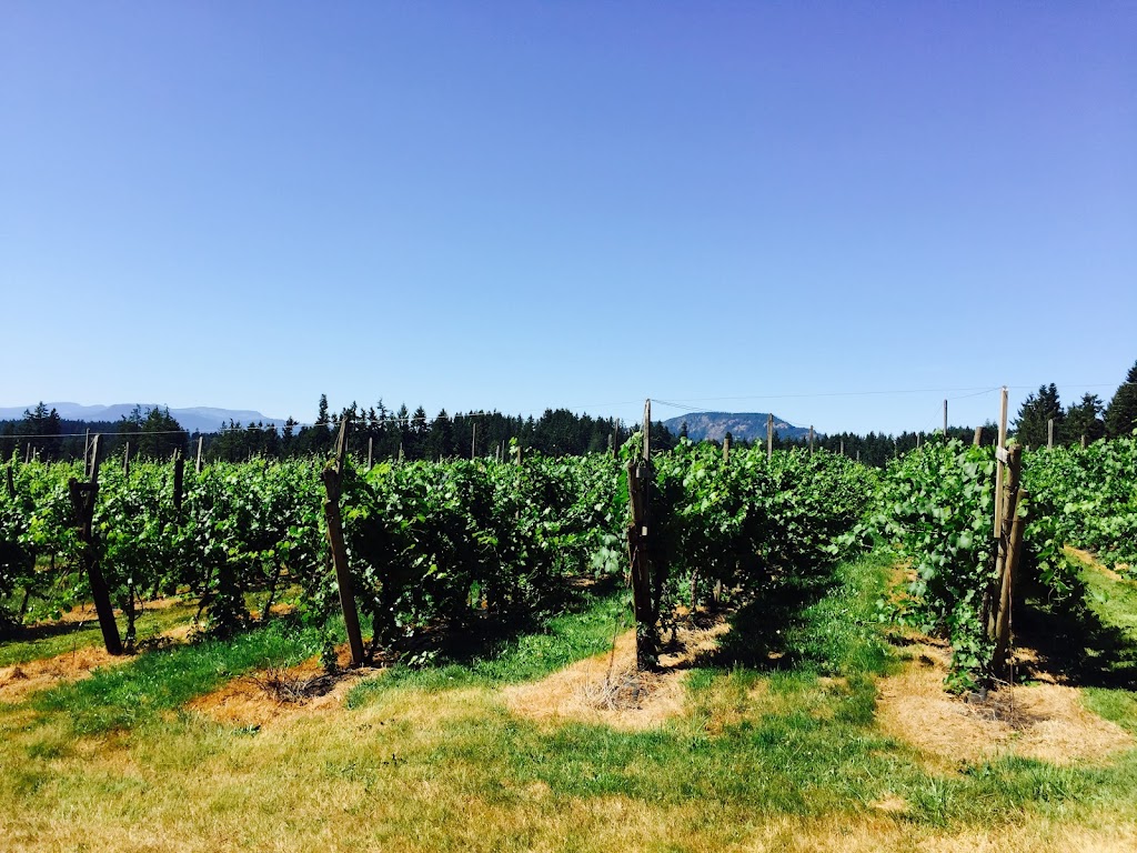 Divino Estate Winery LTD | 1500 Freeman Rd, Cobble Hill, BC V0R 1L3, Canada | Phone: (250) 743-2311