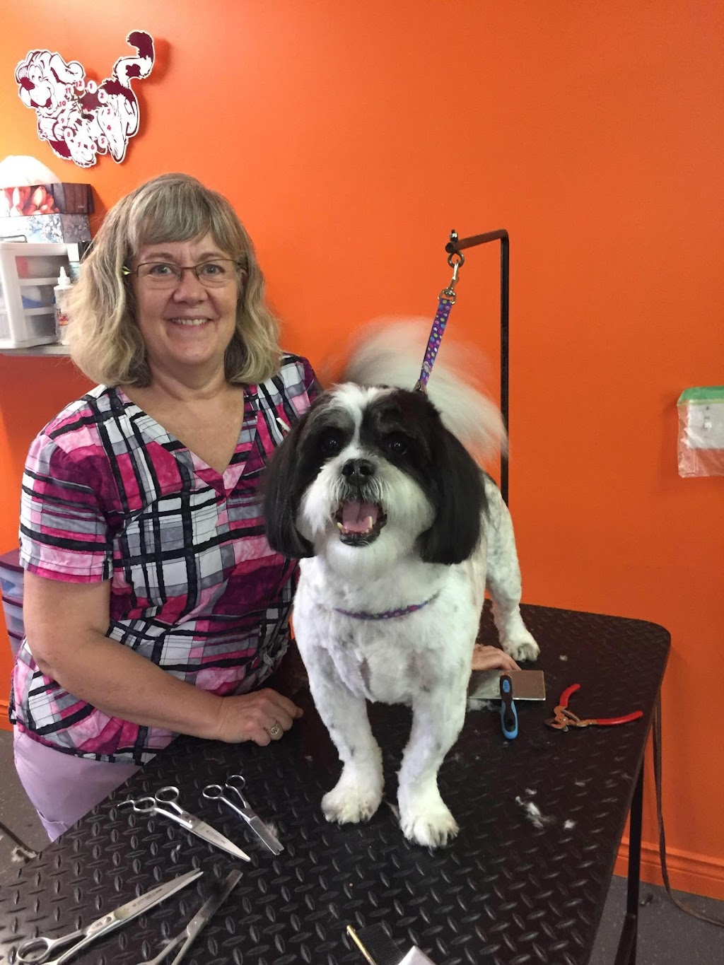 Brenda Tylers Dog Grooming | 4251 Route 690, Newcastle Creek, NB E4B 2M5, Canada | Phone: (506) 261-1383