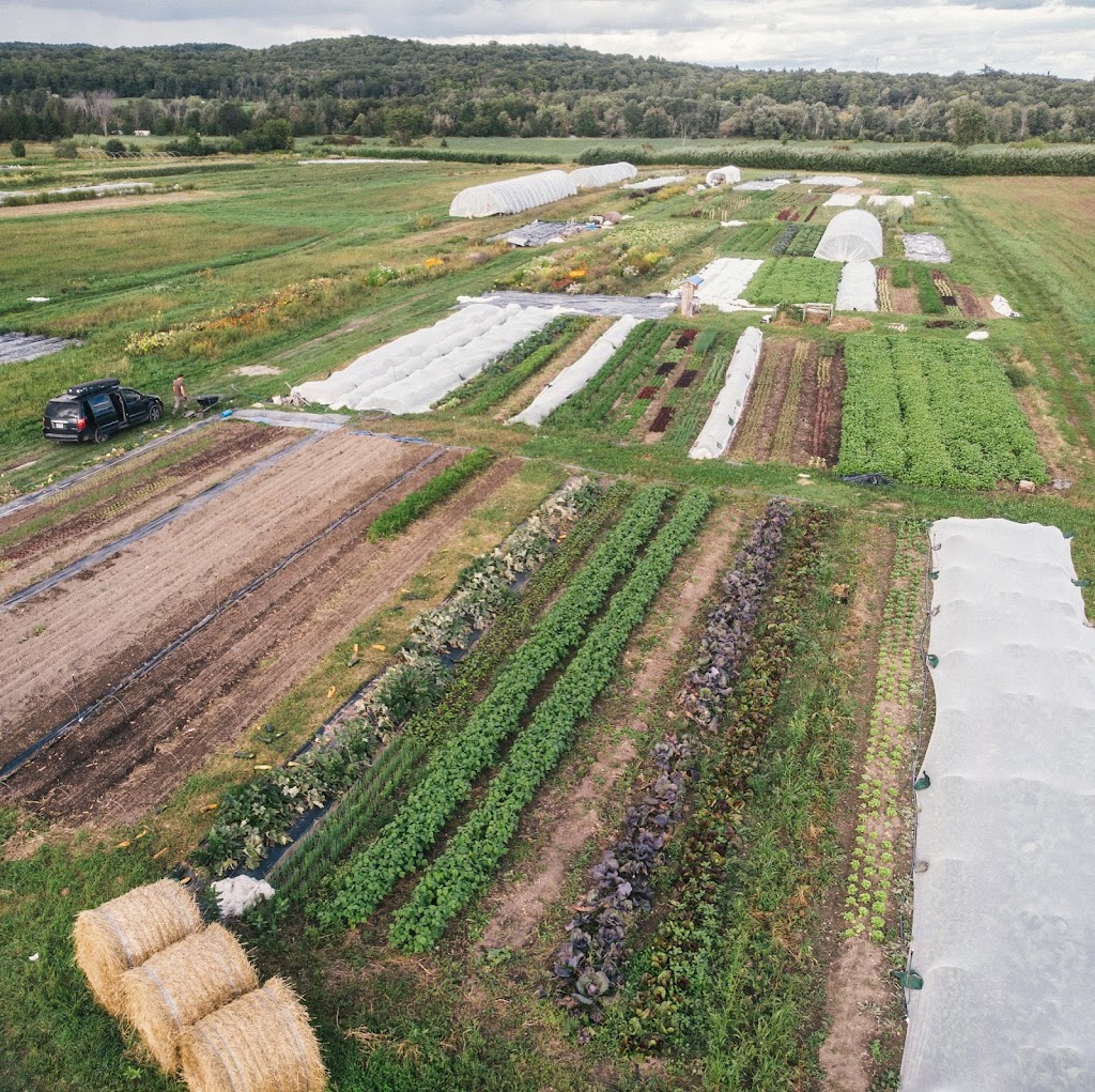 Ferme Larkspur Farm | 550 Chem. River, LAnge-Gardien, QC J8L 0M3, Canada | Phone: (873) 288-4140