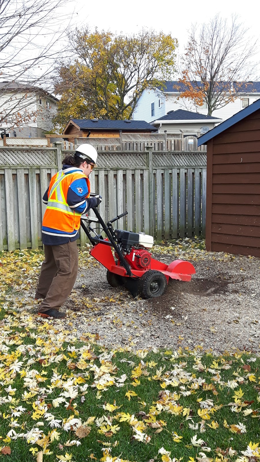 Arborist King | 111 Royal Orchard Pl, Kitchener, ON N2N 1Z6, Canada | Phone: (226) 808-0083