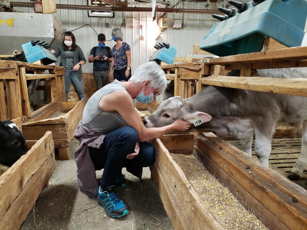 Ferme Jean-Robert Audet | 75 ruisseau des frênes, La Malbaie, QC G5A 2C9, Canada | Phone: (418) 633-6195