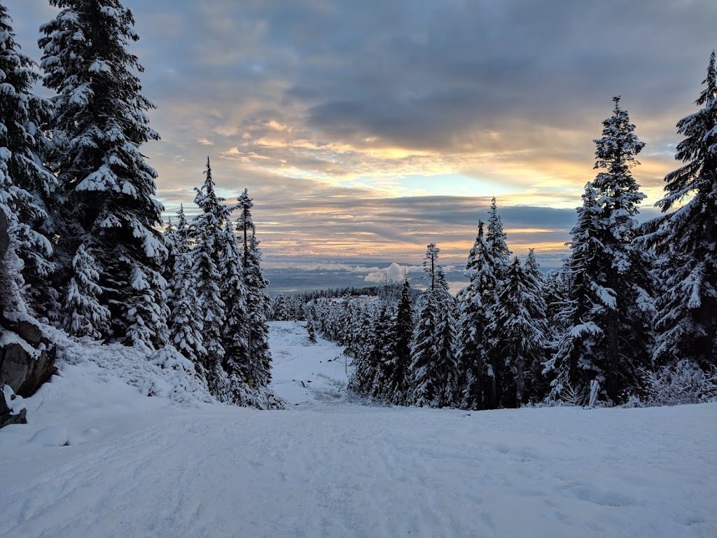 Seymour Mountain Mystery Lake Trail | Seymour mountain, Mystery Lake hike, North Vancouver, BC V7G 1L3, Canada