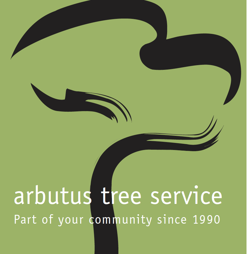 Arbutus Tree Service | 7520 Balaclava St, Vancouver, BC V6N 0A3, Canada | Phone: (604) 737-2643