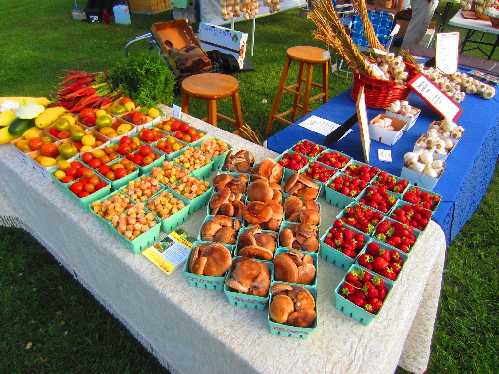 Fat Chance Farmstead, Kingston CSA Farm, Organic Strawberries | 3711 County Rd 38, Harrowsmith, ON K0H 1V0, Canada | Phone: (613) 539-5569