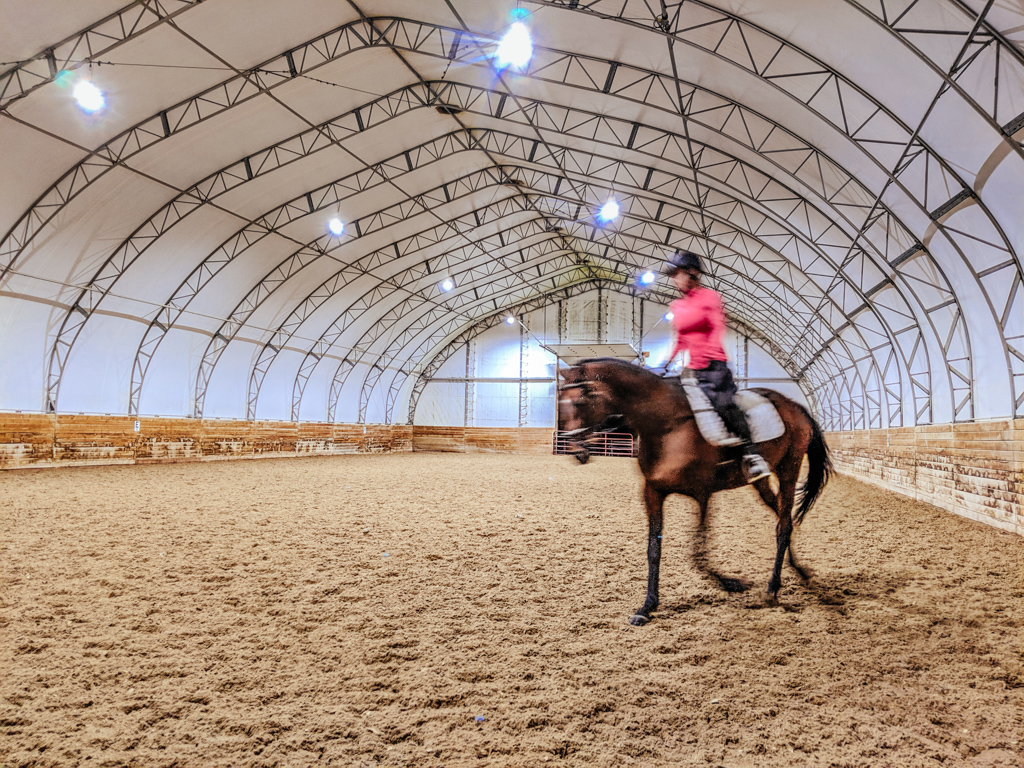 LIV Stables | 1751 Concession 2 Rd W, Lynden, ON L0R 1T0, Canada | Phone: (866) 812-3461