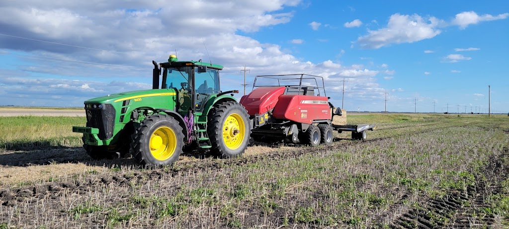 Borderland Hay & Straw | Plum Coulee, MB R0G 1R0, Canada | Phone: (204) 312-0063