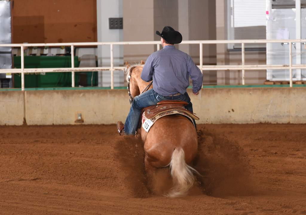 Heule Reining Horses Canada | 1660 Lance Rd, Pritchard, BC V0E 2P0, Canada | Phone: (919) 631-1058