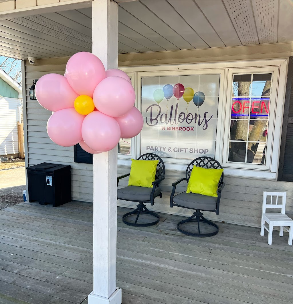 Balloons in Binbrook | 2575 Binbrook Rd, Binbrook, ON L0R 1C0, Canada | Phone: (289) 309-1173