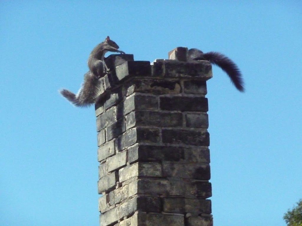 Brick and Chimney Repair Orangeville | 2 Park Ln, Orangeville, ON L9W 4E3, Canada | Phone: (519) 217-4618