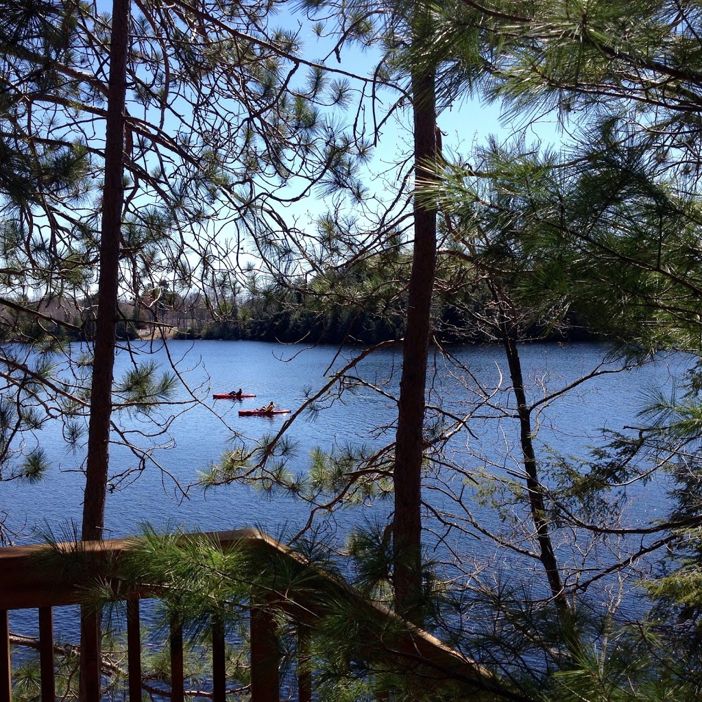 *Muskoka Soul - Cliff Bay* | Luxury Muskoka Vacation Rental | 1023 Old Portage Rd, Gravenhurst, ON P1P 1R2, Canada | Phone: (416) 294-1590