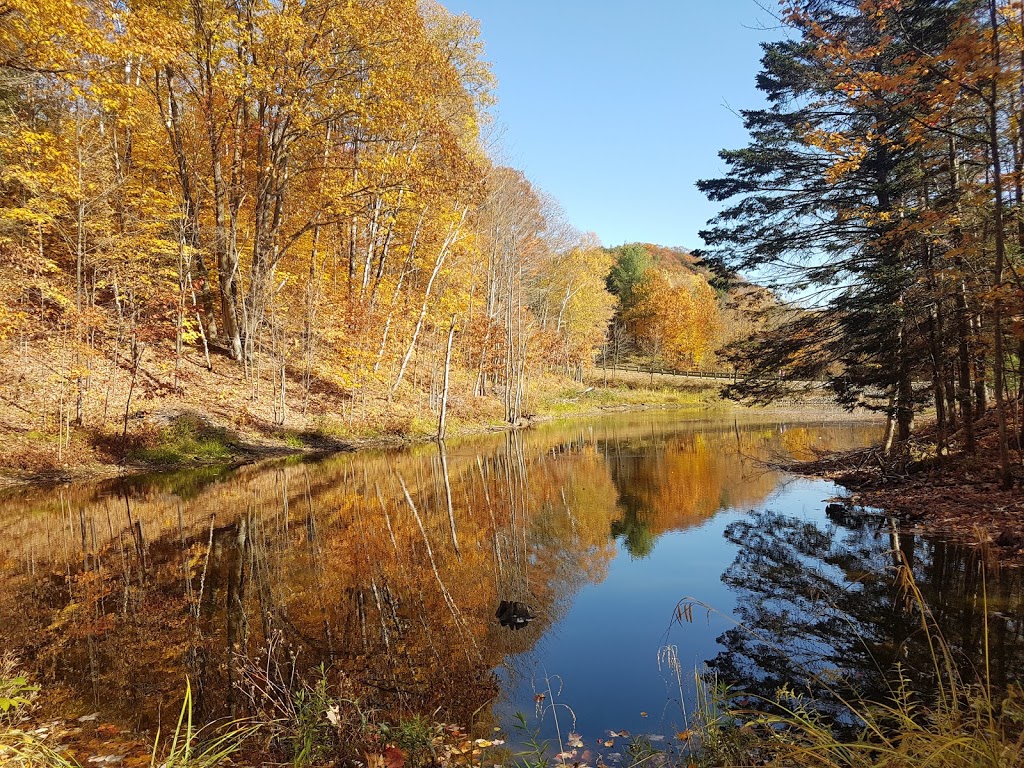 Abbaye Val Notre-Dame | 250 Chemin de la Montagne-Coupée, Saint-Jean-de-Matha, QC J0K 2S0, Canada | Phone: (450) 960-2889