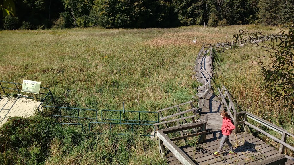 Bee Space @ the Kortright Centre | Woodbridge, Vaughan, ON L4L 1A6, Canada