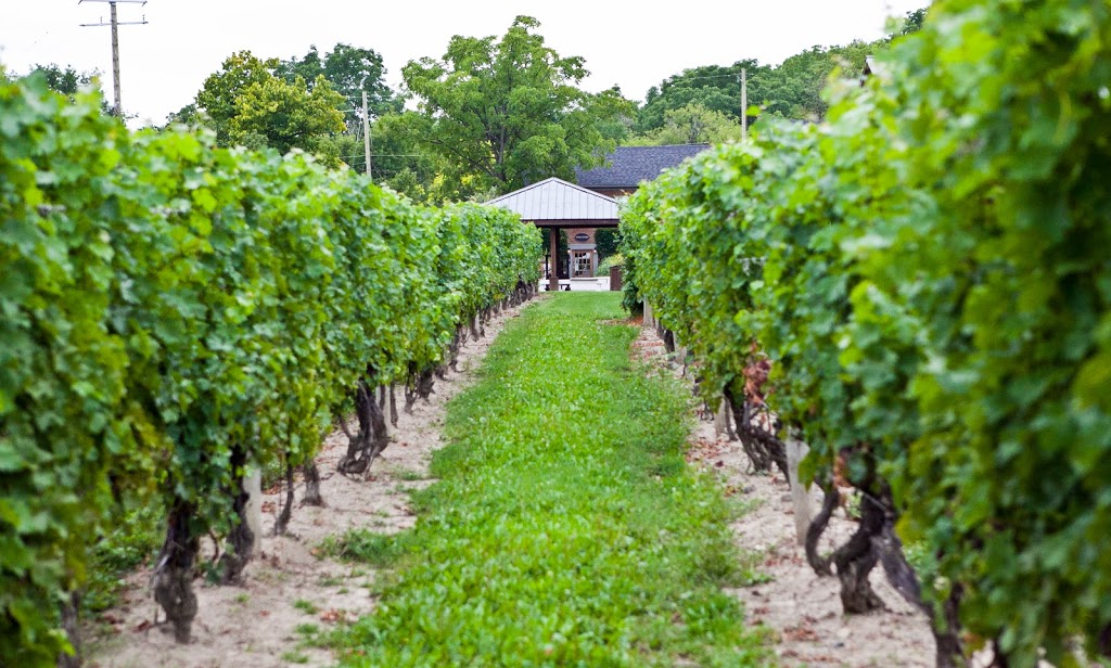 Henry of Pelham Family Estate Winery | 1469 Pelham Road, R.R. #1, St. Catharines, ON L2R 6P7, Canada | Phone: (905) 641-6970