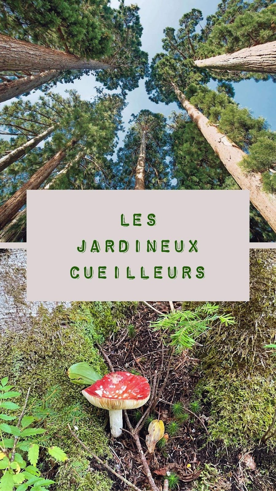 Les Jardineux Cueilleurs | 14 Rue de la Fabrique, Sainte-Brigitte-de-Laval, QC G0A 3K0, Canada | Phone: (581) 991-9994