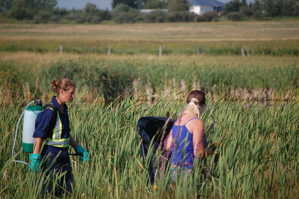 Prairie Environmental Services Ltd | 475 Avenue East AB-2A, Aldersyde, AB T0L 0A0, Canada | Phone: (403) 510-1608