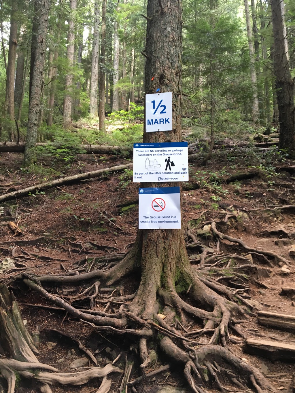 Grouse Grind Trail | 6400 Nancy Greene Way, North Vancouver, BC V7R 4K9, Canada | Phone: (604) 224-5739