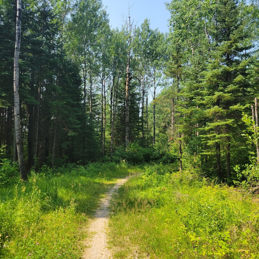 High Lake Hiking Trail | Ridge Rd, Falcon Beach, MB R0E 0N0, Canada | Phone: (204) 349-8273