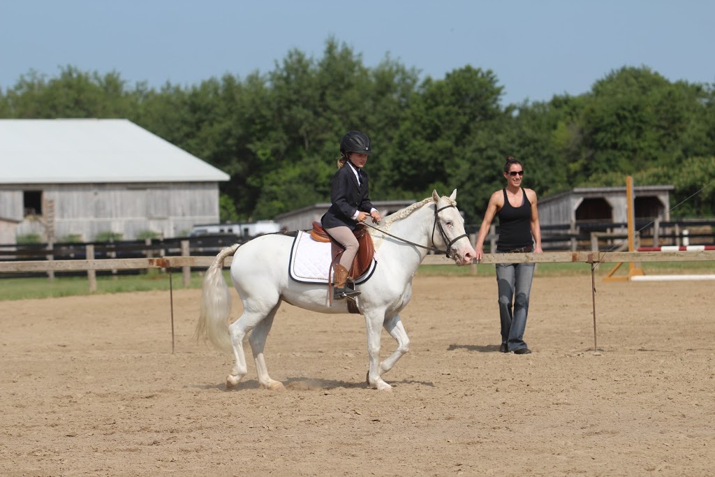 Findaway Equestrian Services Inc. | 560 Snyders Rd E, Baden, ON N3A 3L1, Canada | Phone: (519) 634-9751