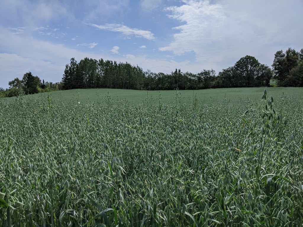 Ferme Eboulmontaise | 2593 Route du Fleuve, Les Éboulements, QC G0A 2M0, Canada | Phone: (418) 633-6767